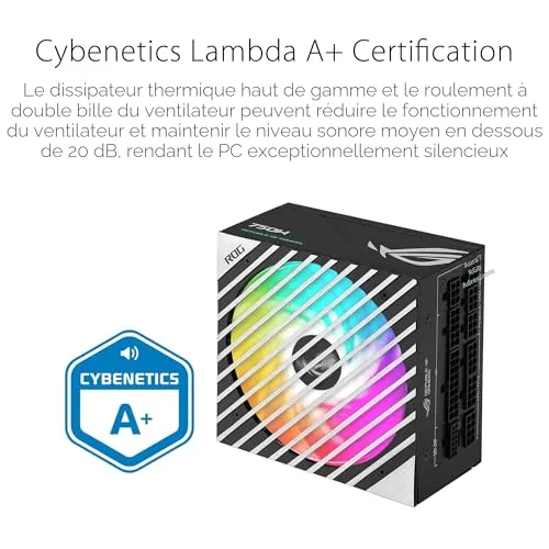 ASUS ROG Loki SFX-L 750W 80+ Platinum modulaire noir et blanc - vue 7
