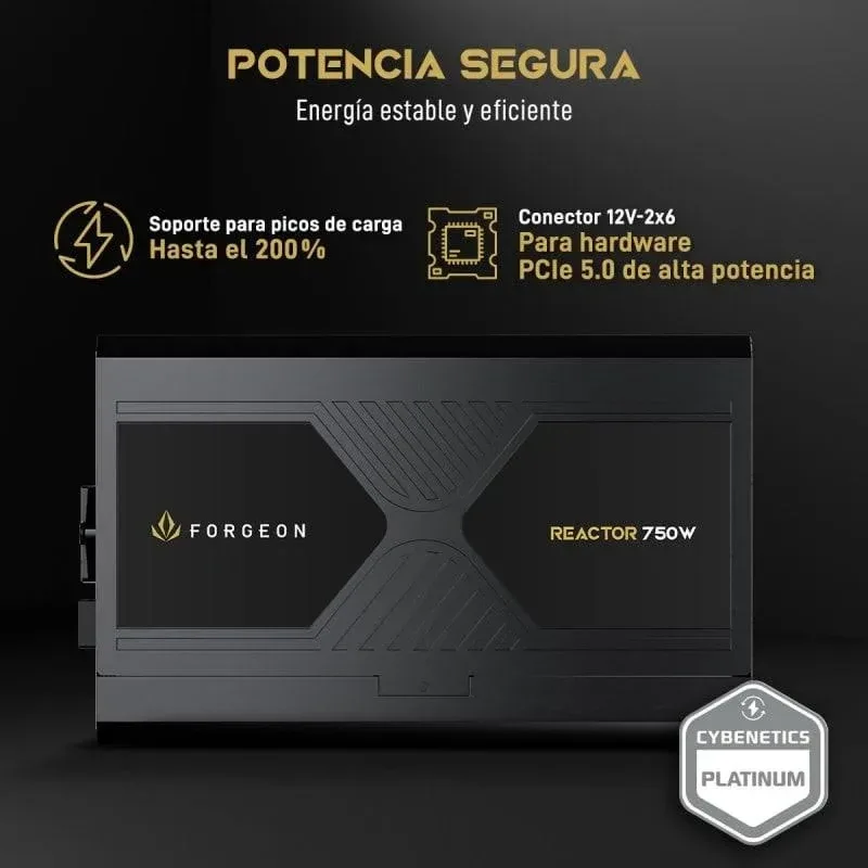 Alimentation entièrement modulaire Forgeon Reactor 750 W Cybenetics Platinum ATX 3.1 PCIe 5.1, noire - image 3