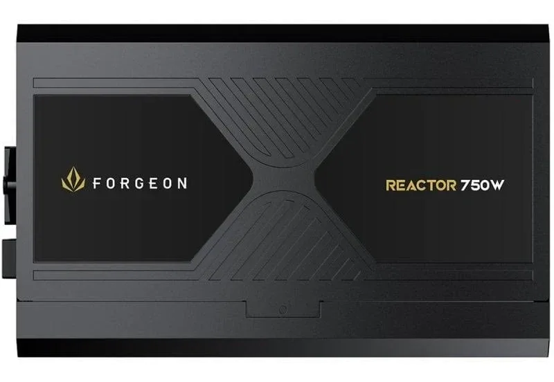 Alimentation entièrement modulaire Forgeon Reactor 750 W Cybenetics Platinum ATX 3.1 PCIe 5.1, noire - image 5