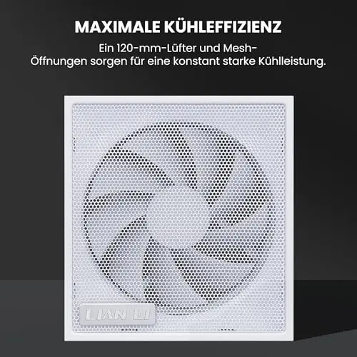 Lian Li SX Platinum 1200W 80+ Platinum modulaire blanche - vue 4