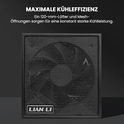 Lian Li SX0850P 850W 80+ Platinum modulaire - vue 4