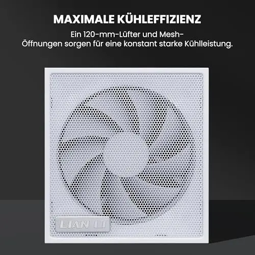 Lian Li SX0850P 850W 80+ Platinum modulaire blanche - vue 4