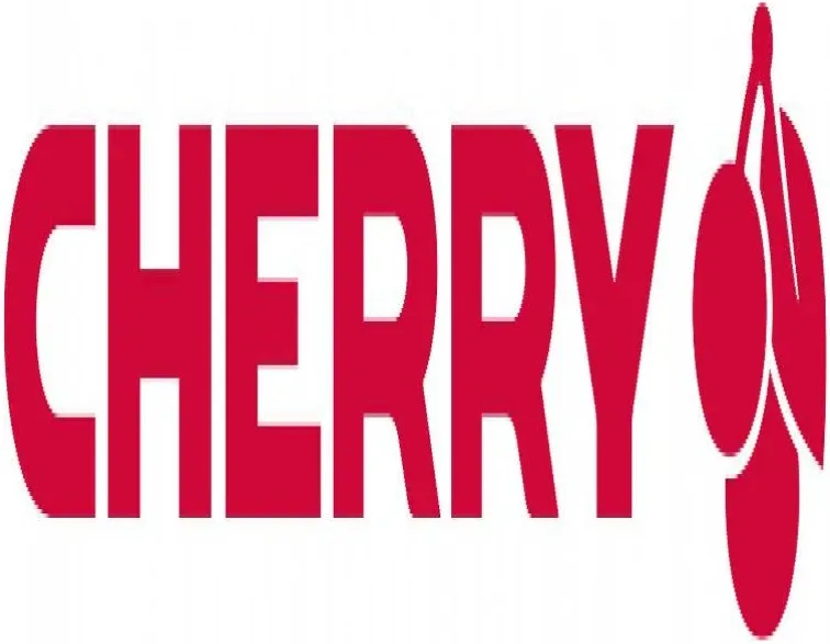 CHERRY STREAM KEYBOARD Noir - vue 2