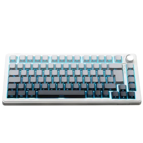 The G-Lab Keyz Elite 300 TKL 75% Sans fil triple mode RGB