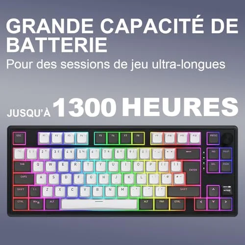 HATOR Skyfall 80 Pro Wireless TKL RGB - vue 4