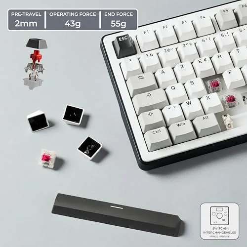 THE G-LAB KEYZ Elite 300 WG TKL sans fil RGB - vue 5