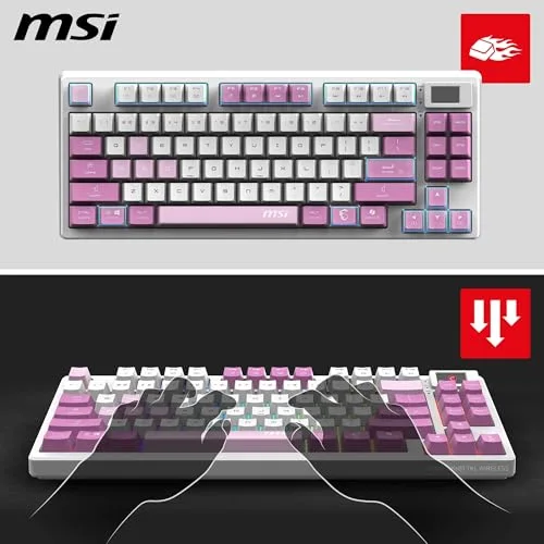 MSI FORGE GK600 TKL Wireless Violet Mécanique Linéaire RGB - vue 3