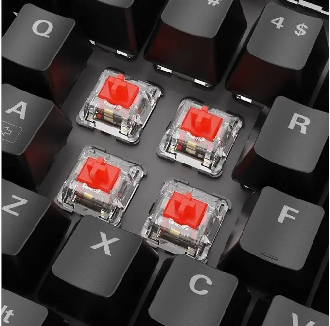 Sharkoon SKILLER SGK20 RGB - vue 5
