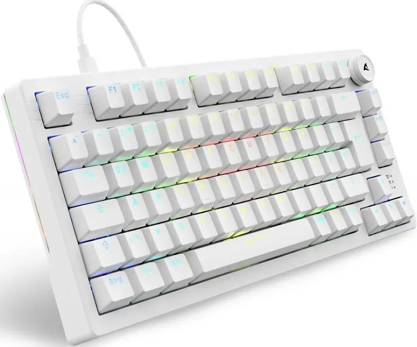 Sharkoon SKILLER SGK25 RGB - vue 1