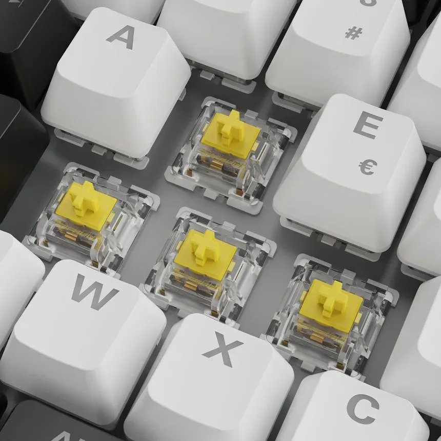 Sharkoon SKILLER SGK50 S3 RGB - vue 3