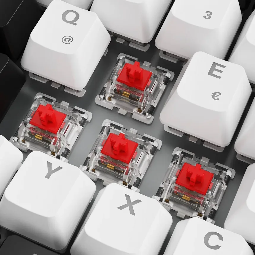 Sharkoon SKILLER SGK50 S3 RGB - vue 3