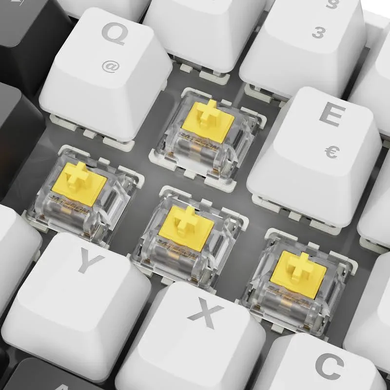 Sharkoon SKILLER SGK50 S4 Gen2 RGB - vue 1