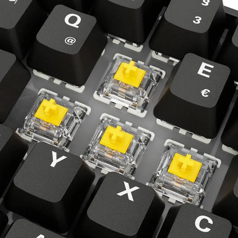 Sharkoon SKILLER SGK50 S4 Gen2 RGB - vue 1