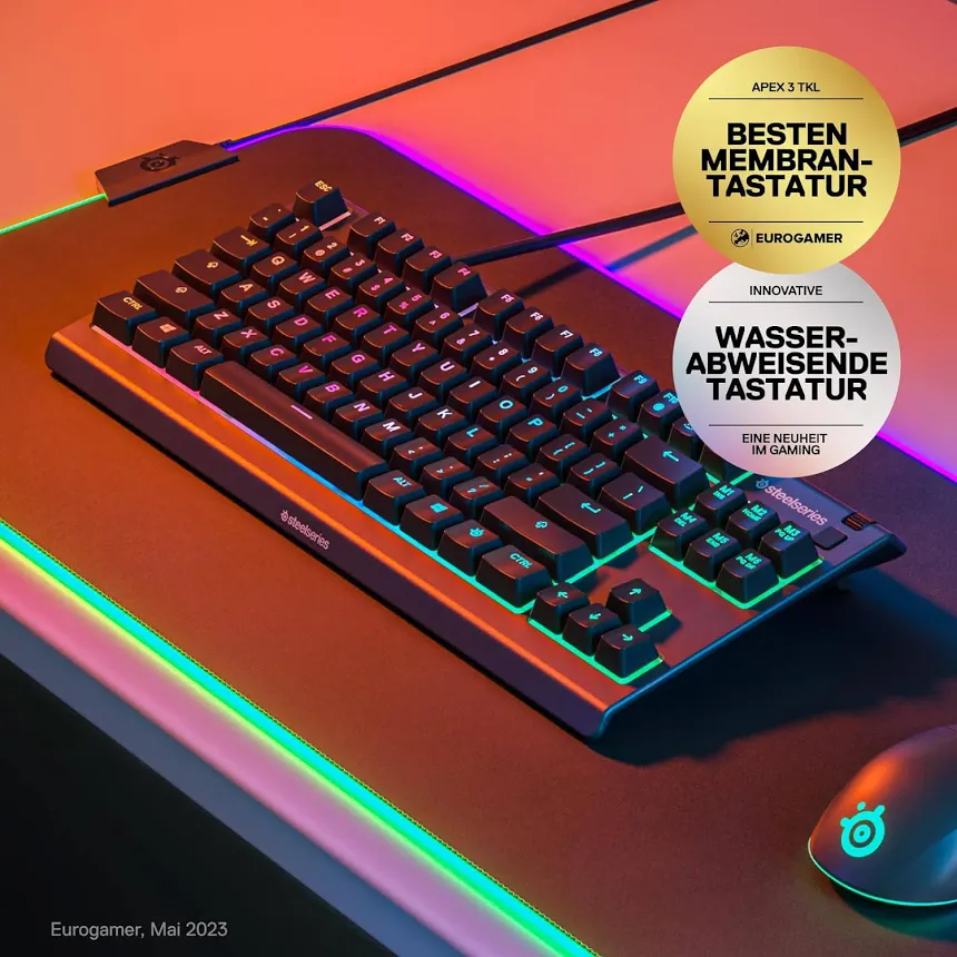 SteelSeries Apex 3 TKL Noir - vue 5