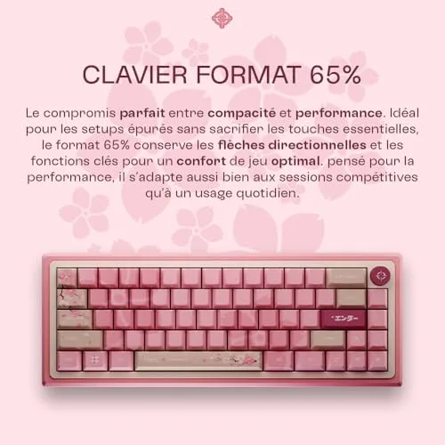 Tryhard Hayami 65 % AZERTY, vue 5