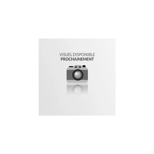 Disque dur Seagate Exos X24 24 To