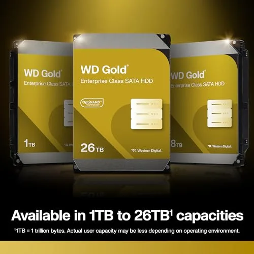 WD Gold WD242KRYZ 24 To - vue 4