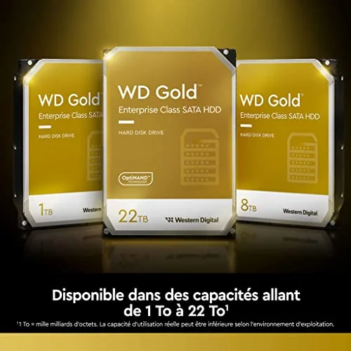 Western Digital Gold 1 TB - vue 3