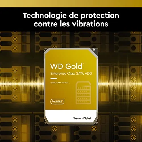 Western Digital Gold 1 TB - vue 4
