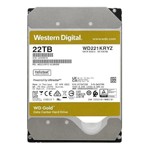 Western Digital Gold 22000 Go - vue 2
