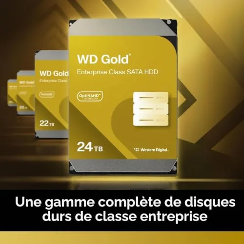 Western Digital Gold 22000 Go - vue 3