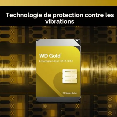 Western Digital Gold 22000 Go - vue 5