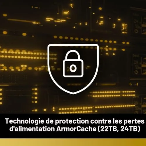 Western Digital Gold 22000 Go - vue 6