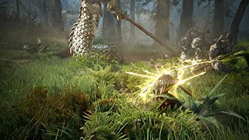 Black Desert Prestige Edition PS4 - vue 9