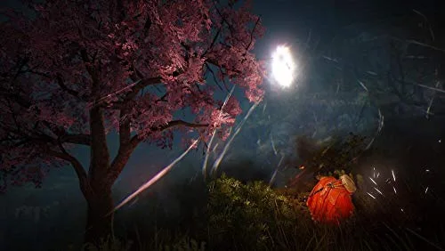 Black Desert Prestige Edition PS4 - vue 5