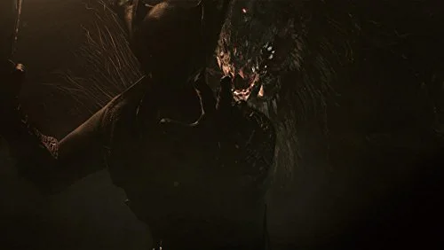 Bloodborne Game Of The Year Edition Jeu PS4 - vue 7