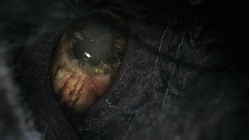 Bloodborne Game Of The Year Edition Jeu PS4 - vue 9
