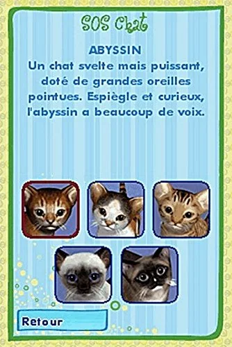CATZ / NDS - vue 5