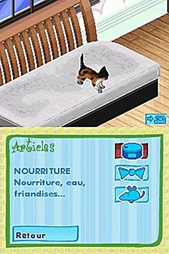 CATZ / NDS - vue 7