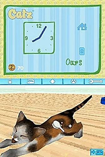 CATZ / NDS - vue 8