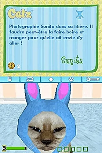 CATZ / NDS - vue 9