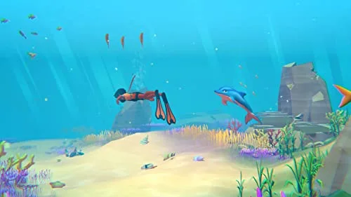 Dolphin Spirit - Mission Océan Switch - vue 5