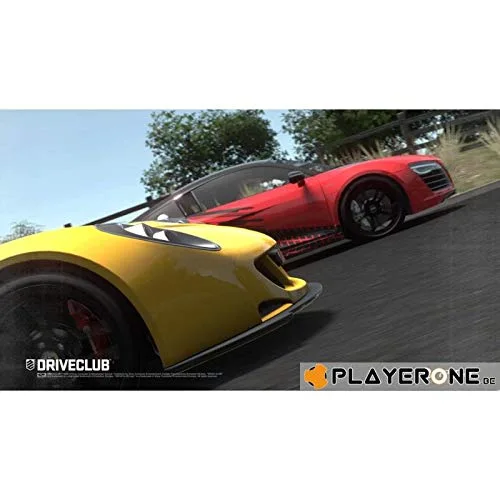 DRIVECLUB PS4 - vue 5