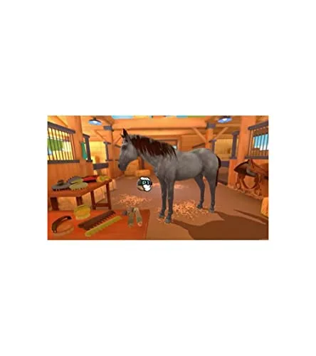 Réussir : Galops 1 à 7 PS4 - vue 2