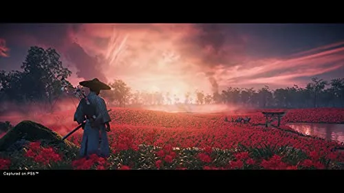 Ghost Of Tsushima Director’s Cut – PS5 - vue 4