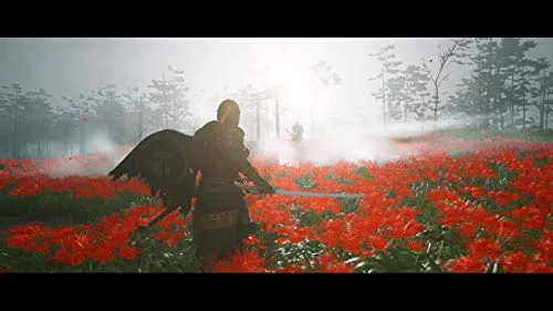 Ghost of Tsushima Jeu Ps4 - Compatible PS5 - vue 4