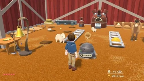 Harvest Moon The Winds of Anthos Complete Edition Switch - vue 8