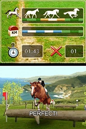 Horse Life 4 3DS - vue 7