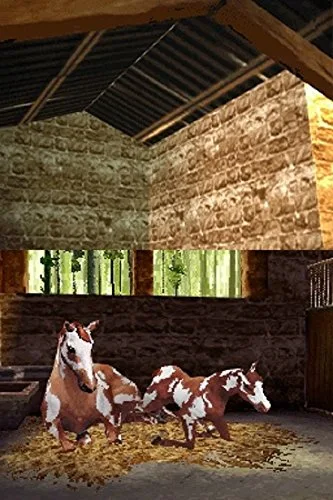 Horse Life 4 3DS - vue 9