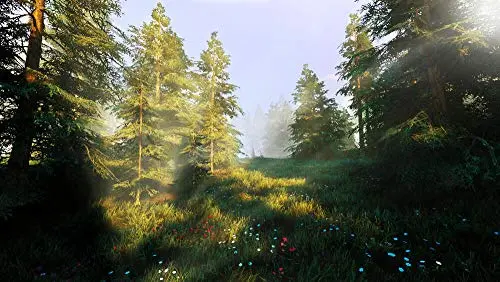 Hunting Simulator 2 Jeu PC - vue 4
