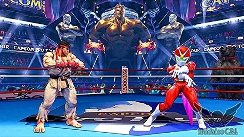 Street Fighter V Arcade Edition PS4 - vue 9
