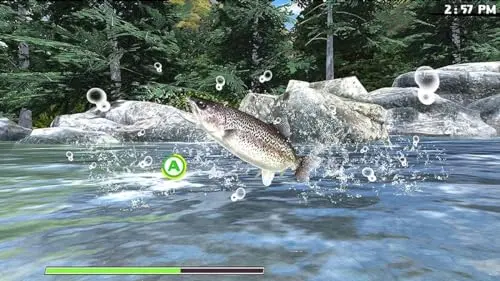 Jeu de pêche - GAMEQUEST - REEL FISHING: ROAD TRIP ADVENTURE - Nintendo Switch - 1 joueur - Simulation - vue 3