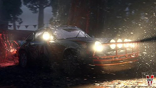 V-Rally 4 PS4 - vue 3