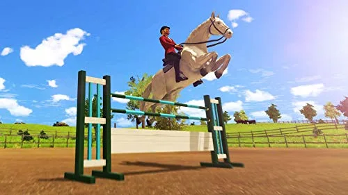Jeu - MAXIMUM GAMES - My Little Riding Champion - Nintendo Switch - Personnalisation dobjets - Balades et compétitions - vue 5