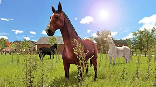 Jeu - MAXIMUM GAMES - My Little Riding Champion - Nintendo Switch - Personnalisation dobjets - Balades et compétitions - vue 6