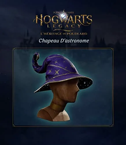 Hogwarts Legacy Standard PS4 - vue 3